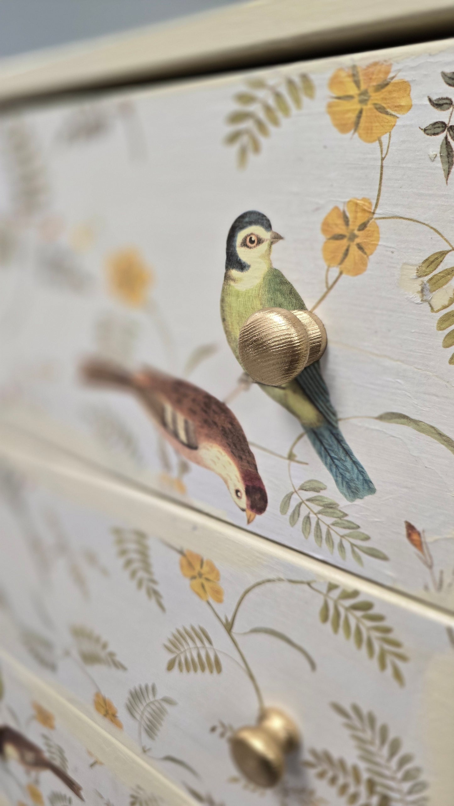 Decoupage Chest of Drawers