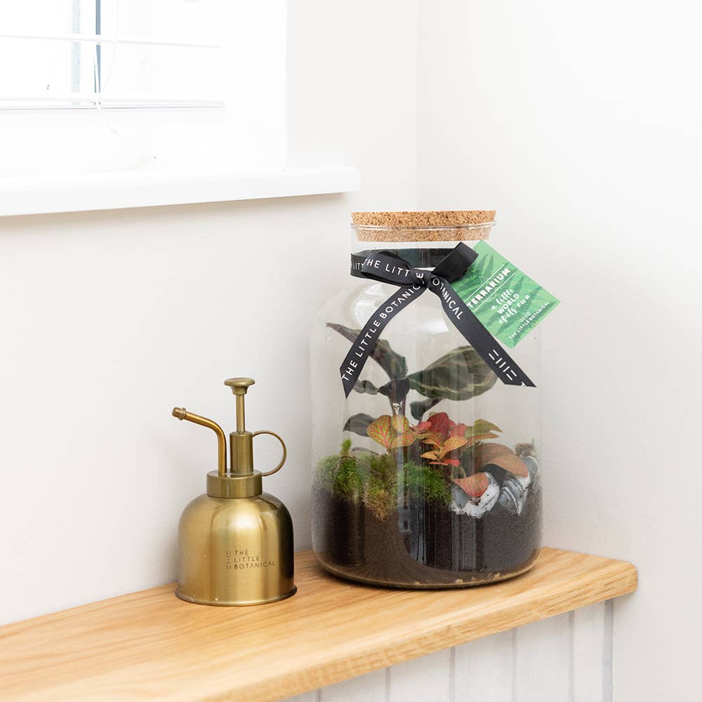 Medium Glass Terrarium – Pre-Planted & Easy Care