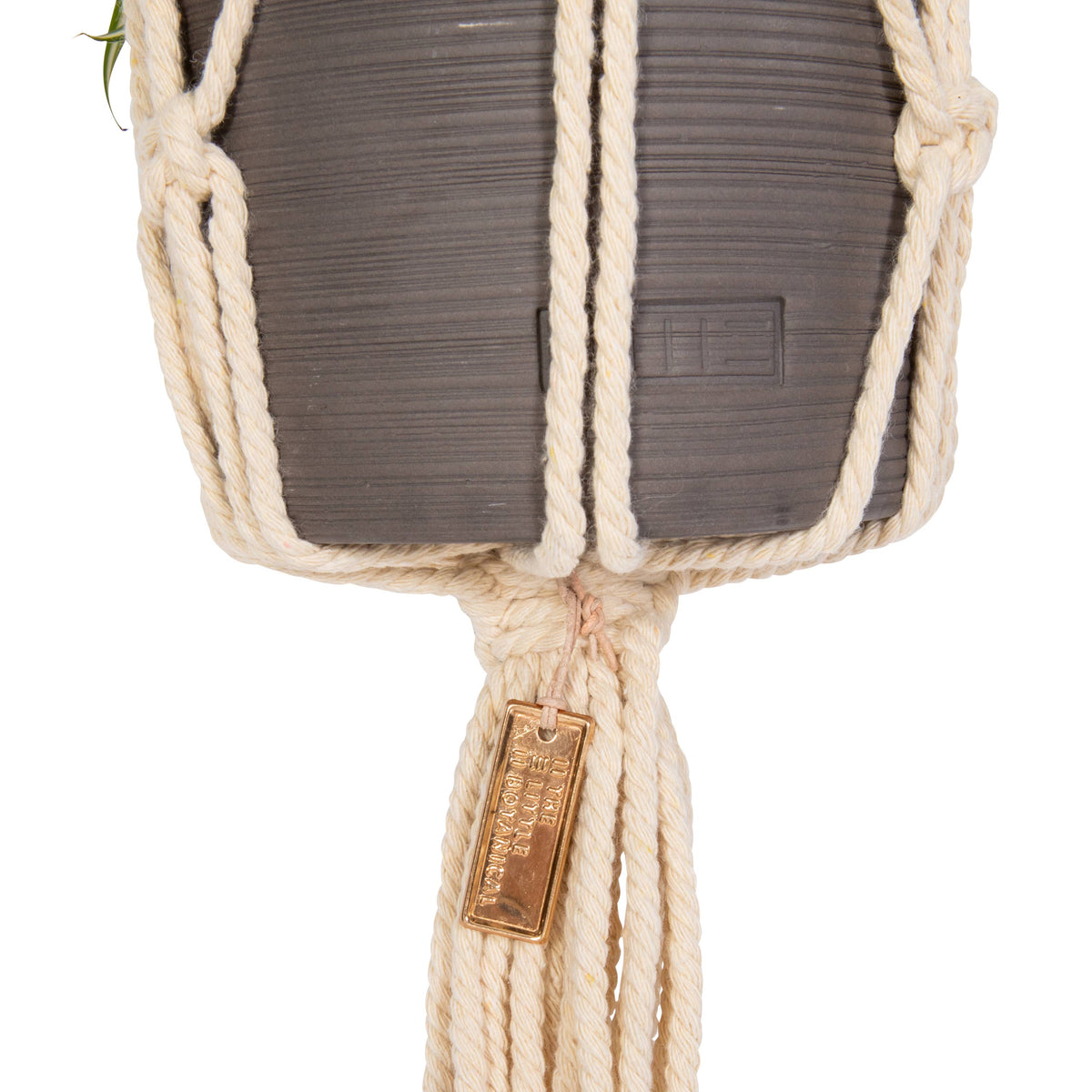 Natural Macrame Plant Hanger