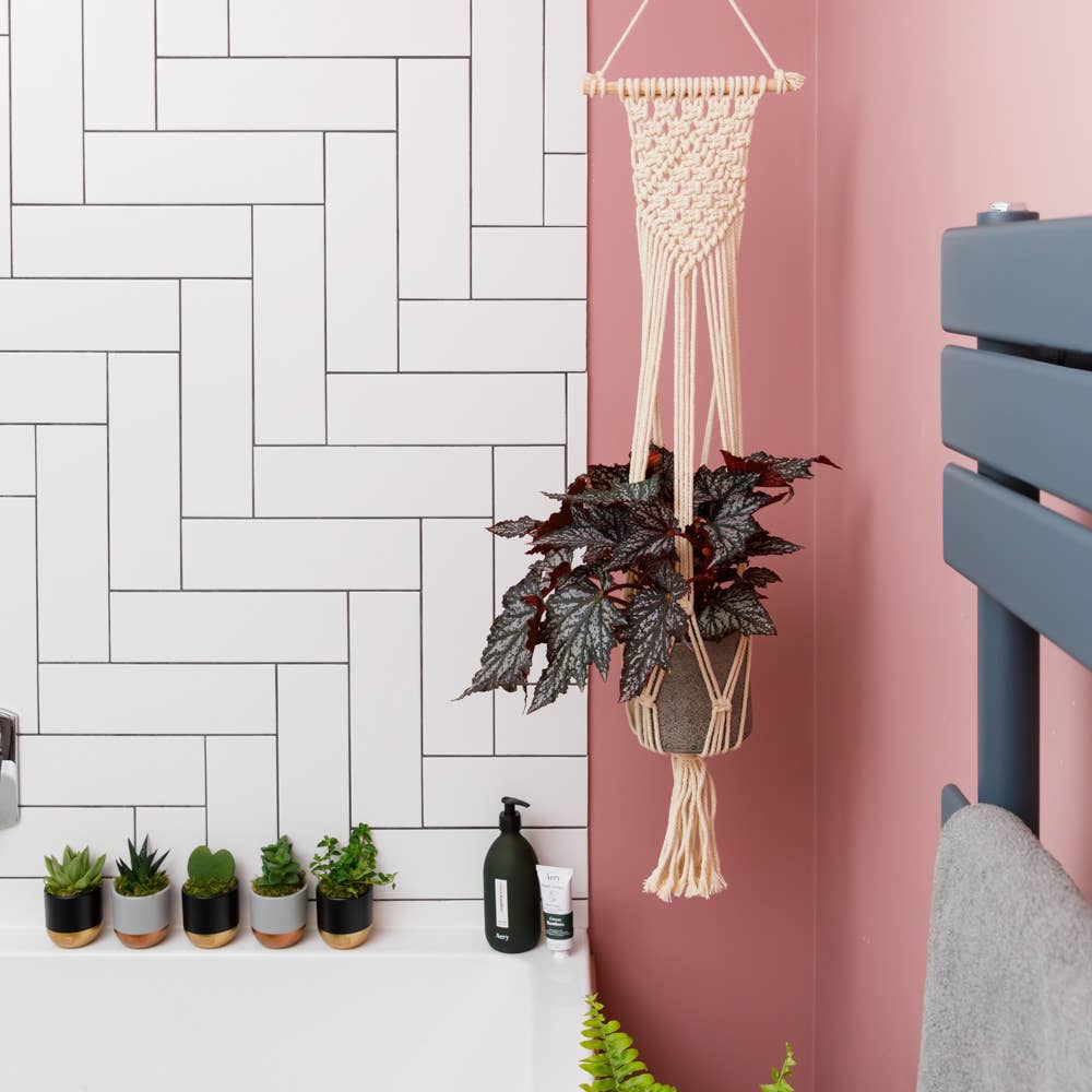 Natural Macrame Plant Hanger