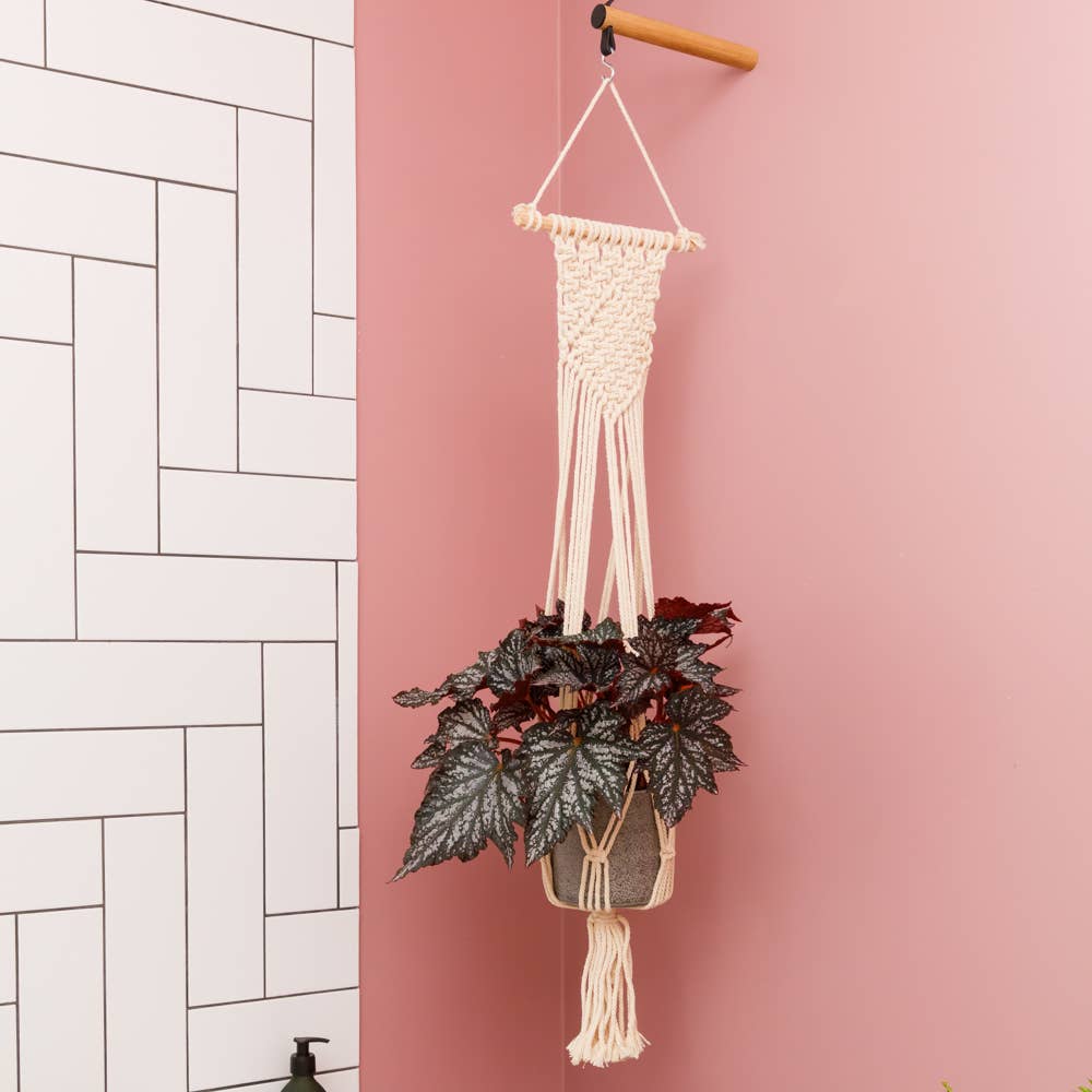 Natural Macrame Plant Hanger